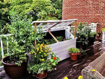 Love & Carrots created this beautiful rooftop container garden in the District. They offer planning, design, installation and maintenance services.