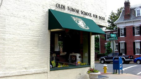 Olde Towne School for Dogs