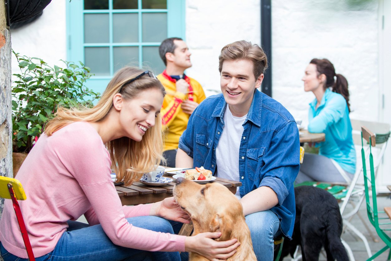 2019_EYA_Dog at Cafe_iStock-512980950