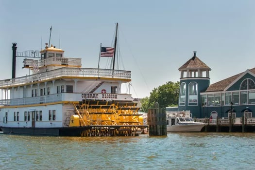 Old Town Alexandria Cherry Blossom Boat