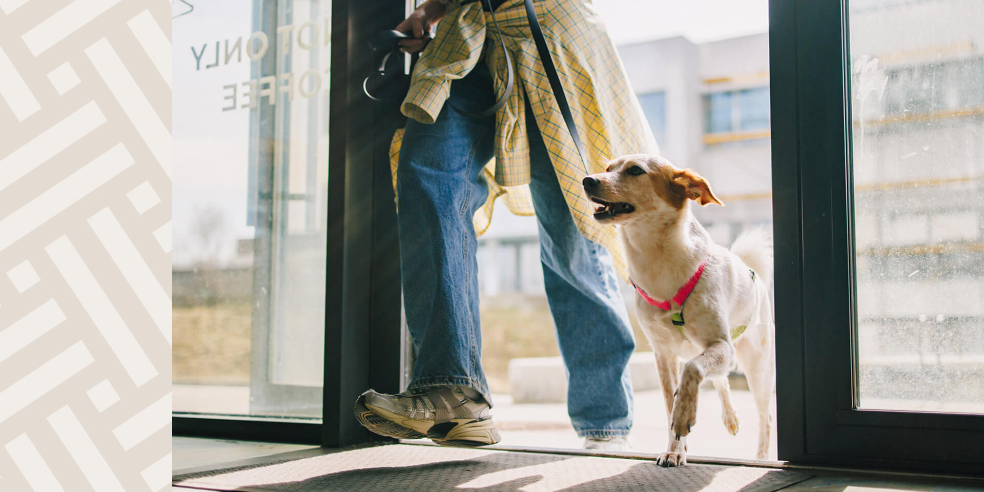 EYA-HR-HomeFeaturesPageFooter-Jack-Russell-Terrier-Inside-Doorway-of-Dog-friendly-Coffee-Shop