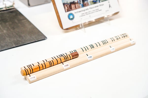 Lesson plan for dendrochronology