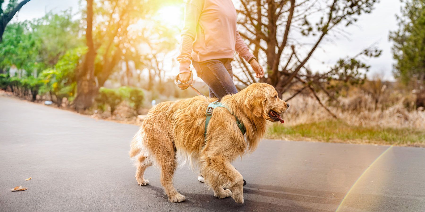 rockshire-news-listing-full-width-bofu-photo