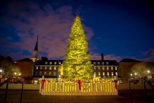 Tree_at_Market_Square_Holiday_CREDIT_K_Summere_for_Visit_Alexandria