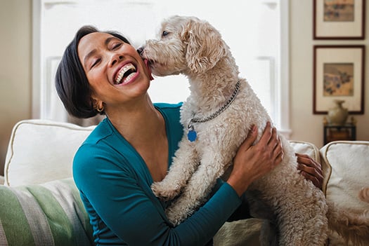 Woman Sofa Dog