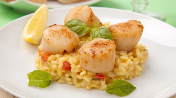 iStock_scallops_entree615.jpg