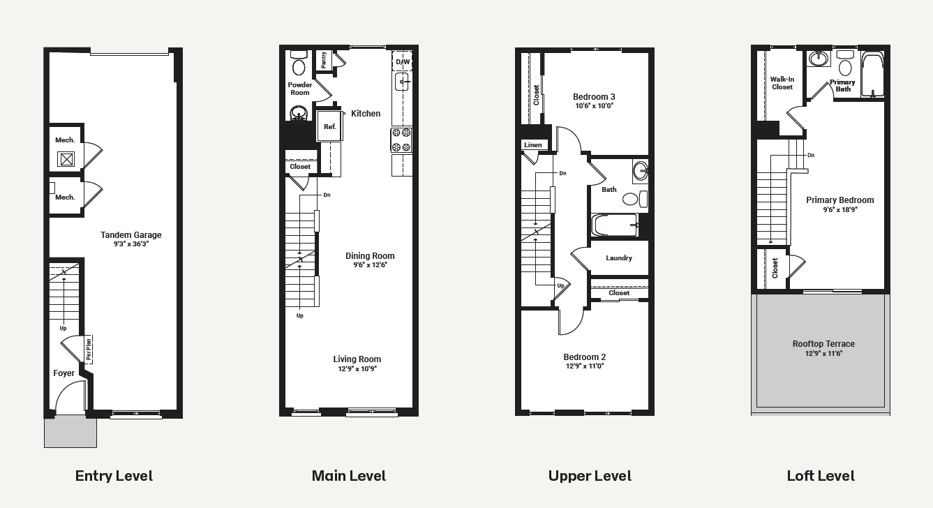 four level alfred