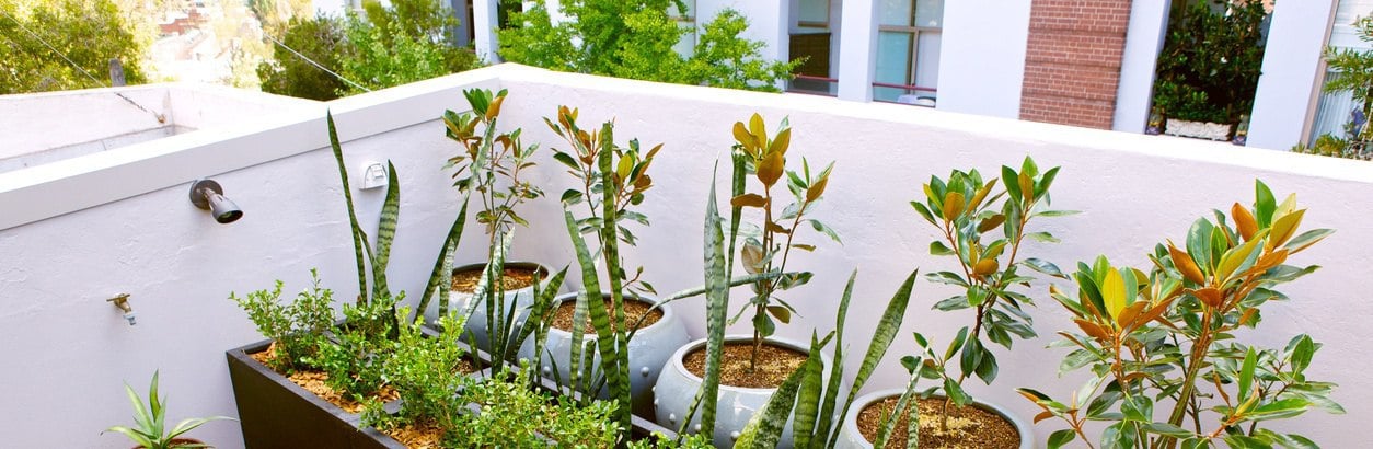 EYA rooftop gardening in your townhome