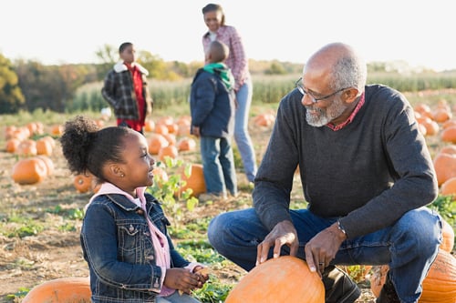 Pick your own Halloween pumpkin