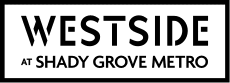 promo-logo-wsg