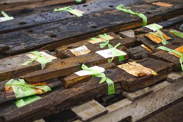ship scanning green tape process