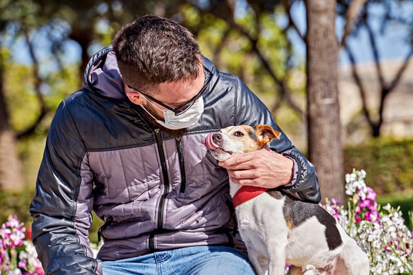 winter with your dog