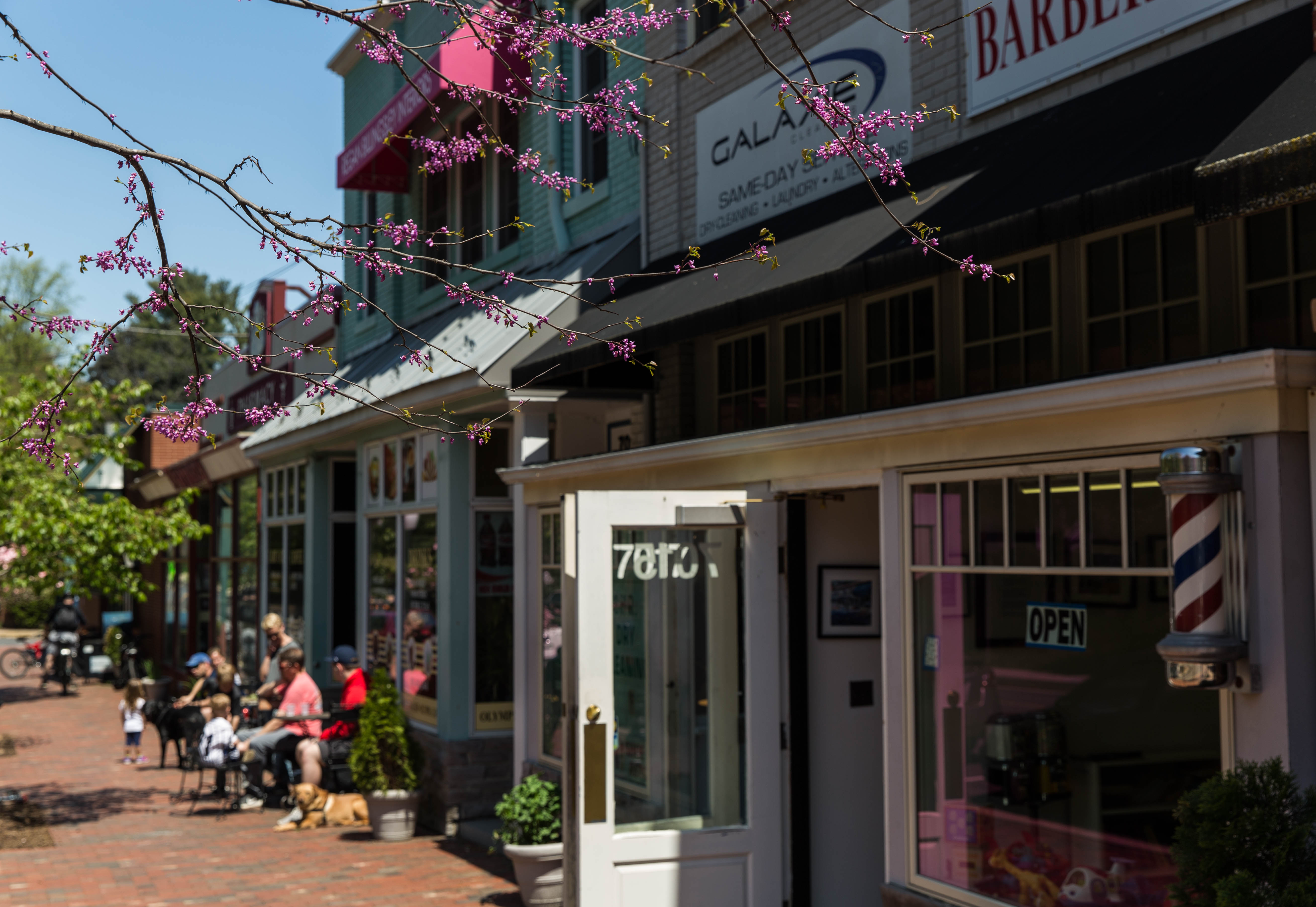 NEW: A Local’s Guide to Living in Chevy Chase, MD