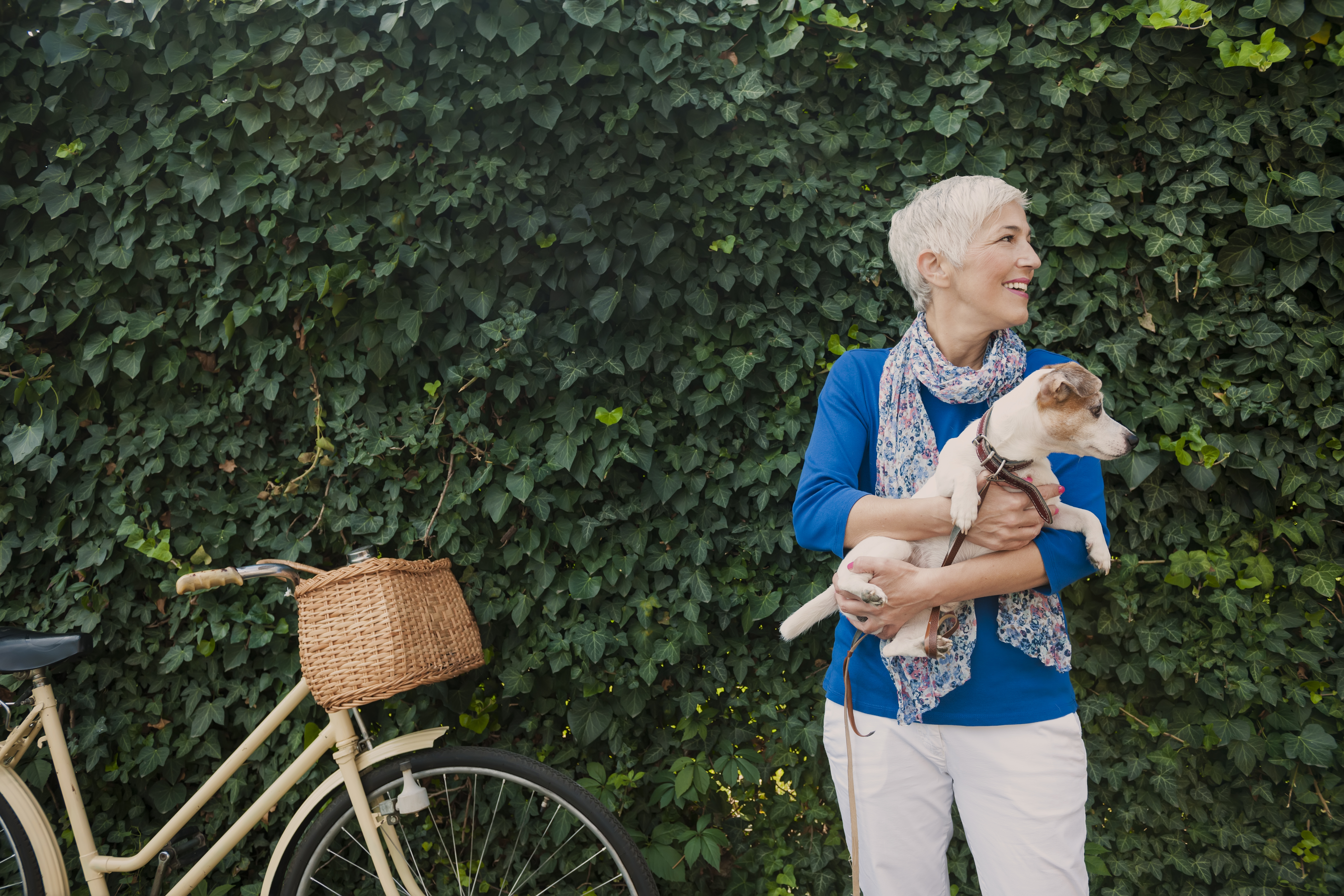 iStock-492263352